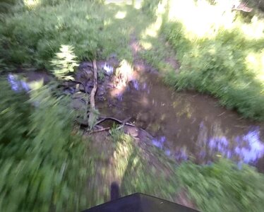 Creek crossing near the eastern trailhead.