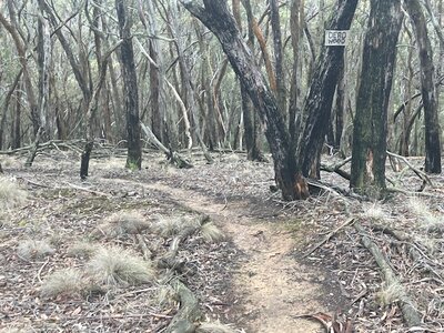 Entrance to Dead Wood