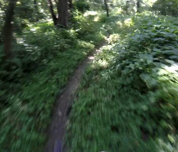 On the trail.