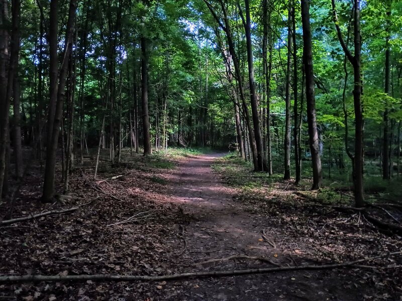 Letting my daughter rest while I took trail pics.