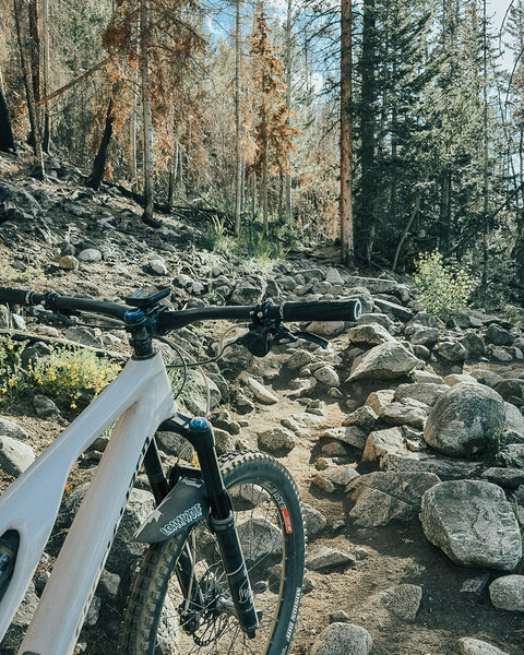 Twin Lakes Trail South Section