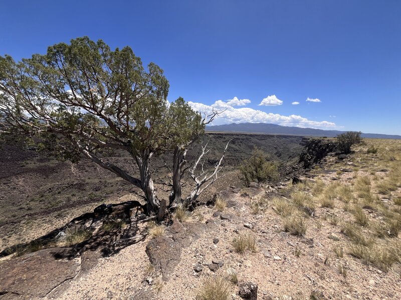 View of the canyon - south