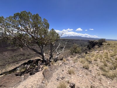 View of the canyon - south