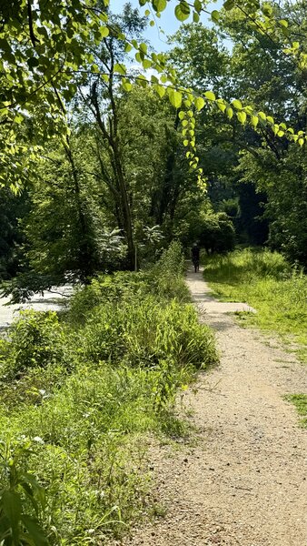 Cabin John Trail