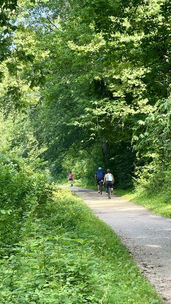 Chesapeake and Ohio Canal towpath.