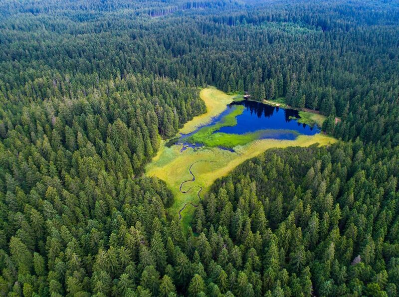 Pohorje - črno jezero