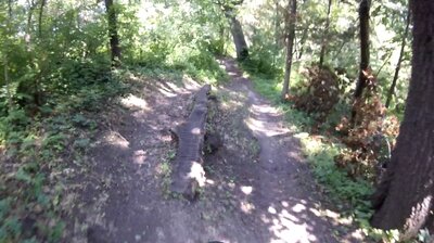 Balance feature option.