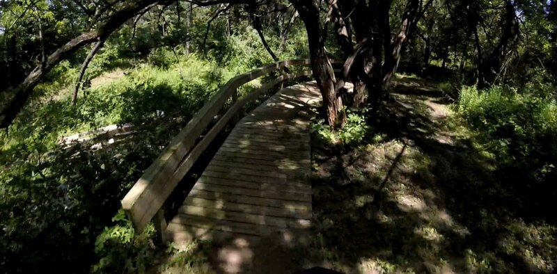 Curved wooden bridge under the trees.