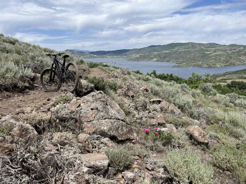 The lake view and cactus.