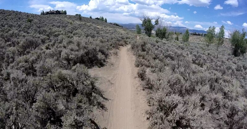 On the trail.