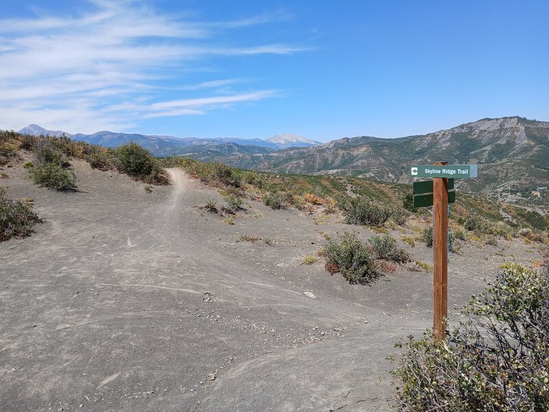 Trail marker at jct. with "Cozyline."