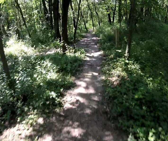 On the trail.
