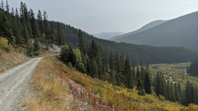 Forest service road just east of Whitefish Divide.