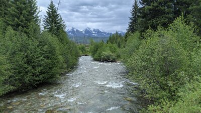 Looking east towards Glacier NP