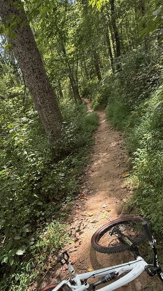 Cabin John trail
