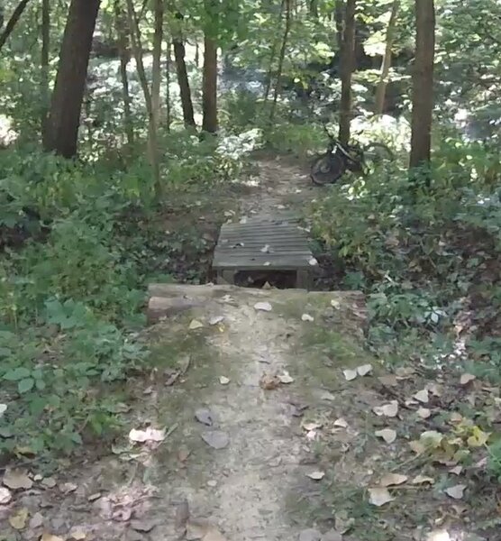 Gap jump to a bridge on the skills line north spur.