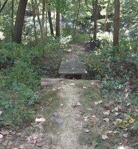 Gap jump to a bridge on the skills line north spur.