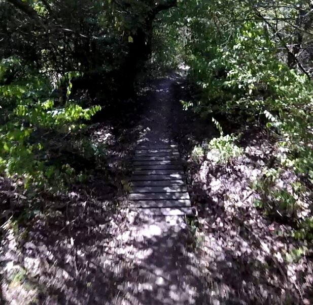 On the eastern end of the trail.