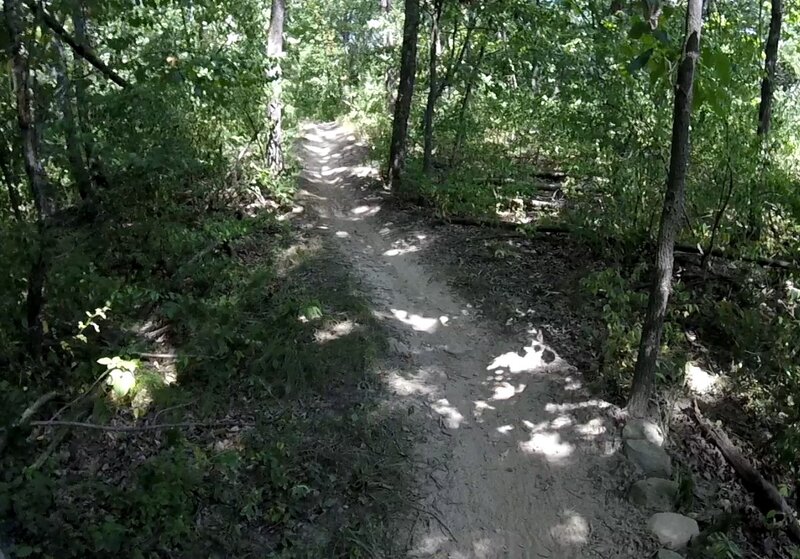 On the trail.
