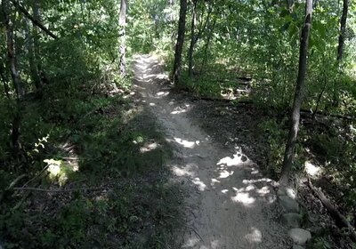 On the trail.