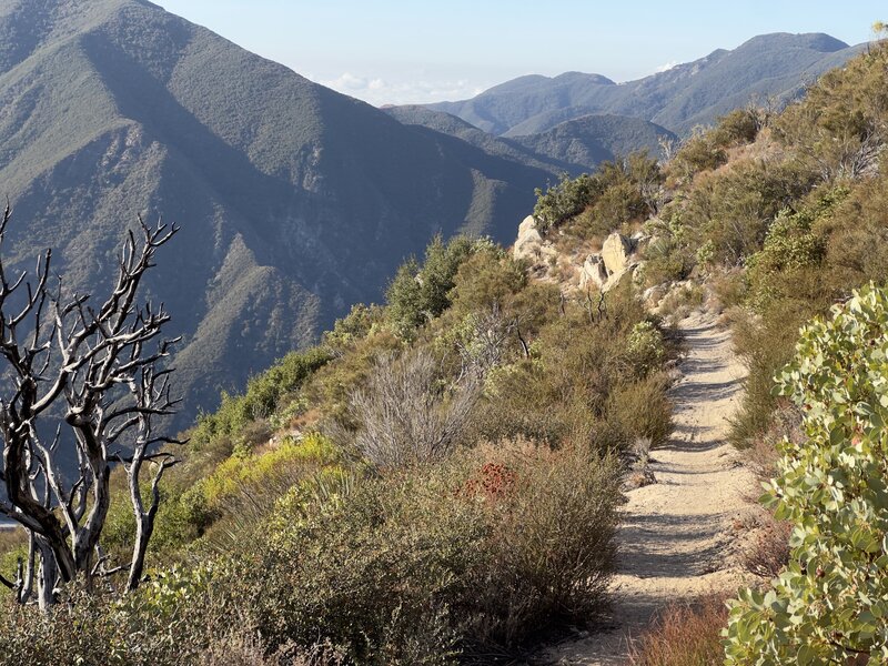 Sections that cross a ridgeline afford a break from the nervy cliffs and reveal stunning scenery.