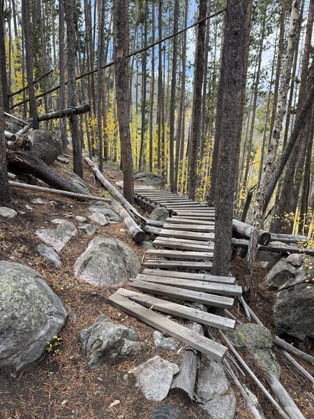 Trail section of bridges.