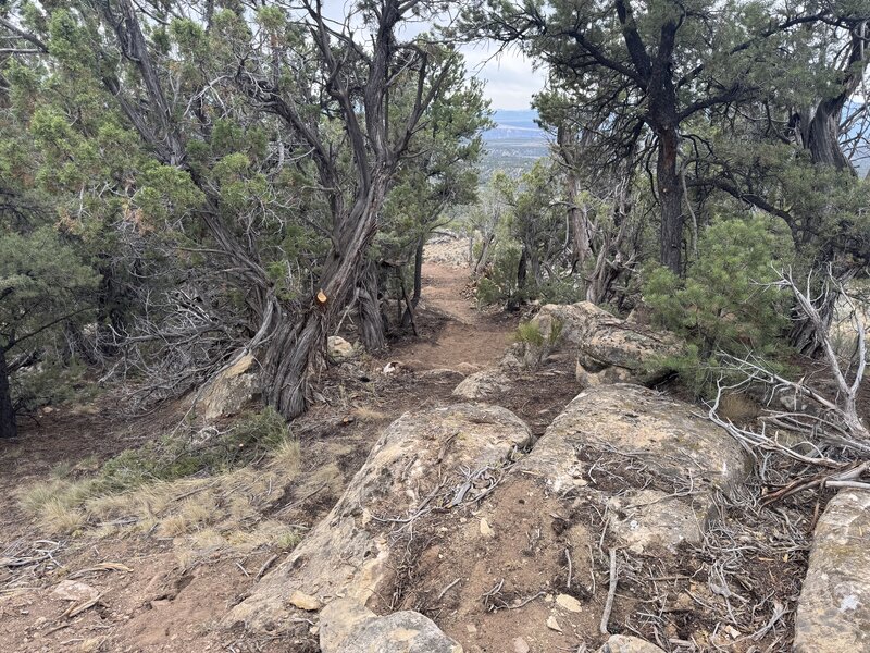 More boulder navigation. Up and over is preferred!