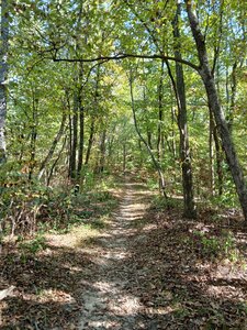 Top of the ridge on the east end.