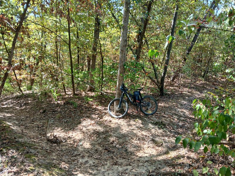 The intersection of "Deer" and "Eagle"