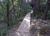 Nice wooden bridge