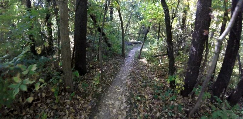 On the trail.