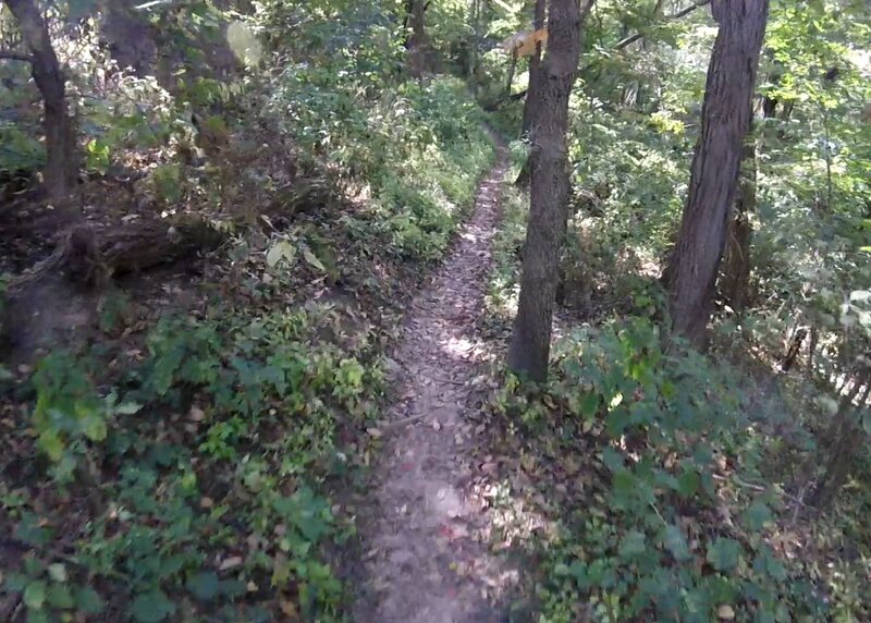 On the trail
