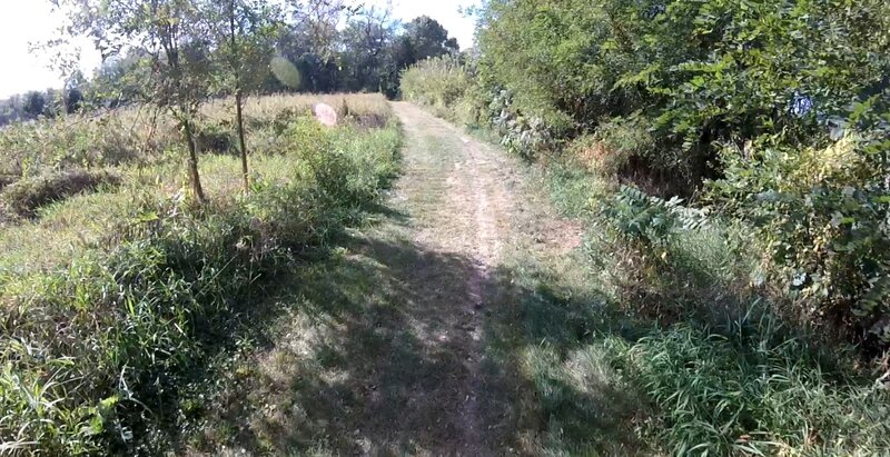 Grass path