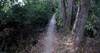 Between "Palos" and the new jump line.