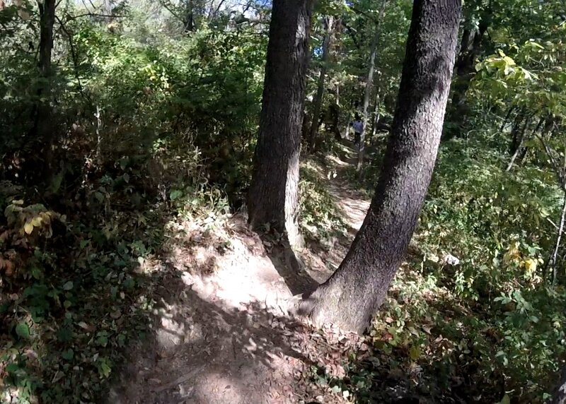 Between "Rock Cut" and "Palos"