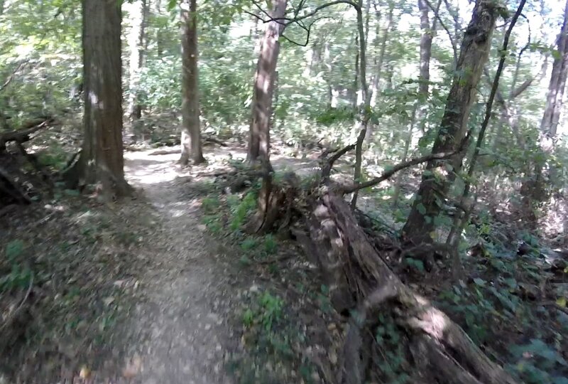 Between "Rock Cut" and "Palos"