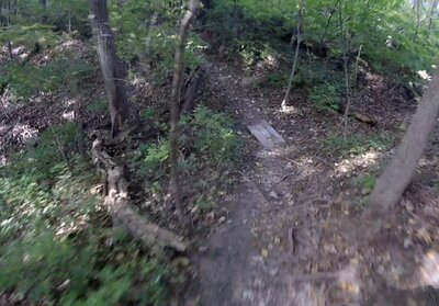 One of the many small "bridges" on this trail.