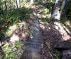 Last dip and bridge before the last climb to the trailhead.