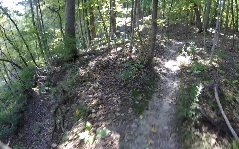 On the trail