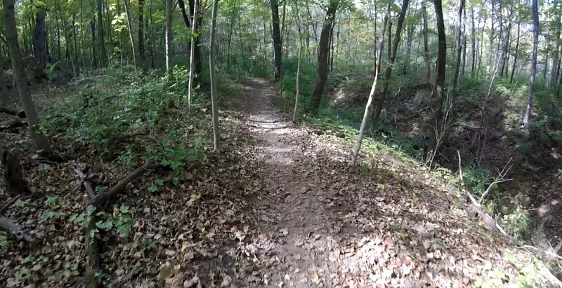 On the trail