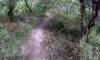 Near Trackstand trail