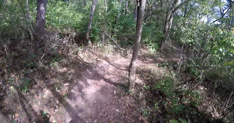 On the trail.