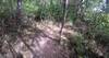 On the trail.