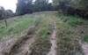 Grassy stretch