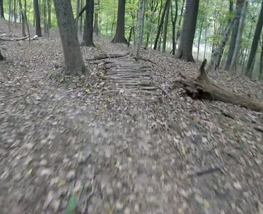 Ramp of branches.