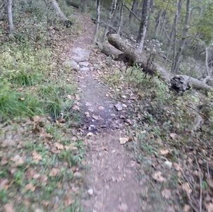 Rivulet