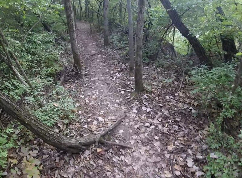 On the trail