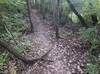 On the trail