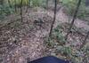 Crossing a creekbed