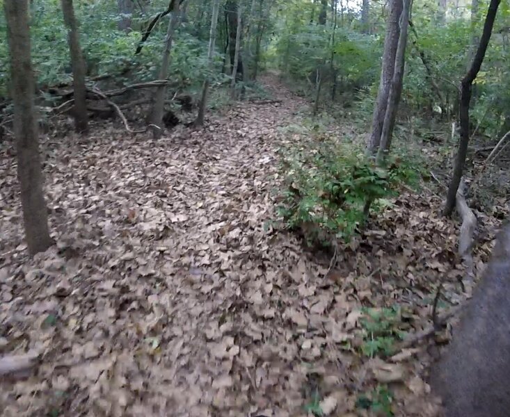 On the trail